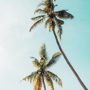 Meet your Posher, Nicci